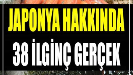 Magazin Hakkında İlginç Gerçekler